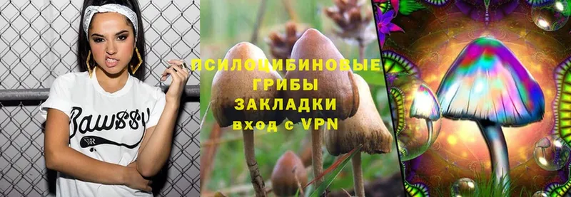 Псилоцибиновые грибы Psilocybine cubensis  Комсомольск 